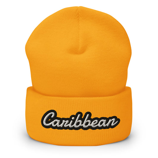 Caribbean Beanie